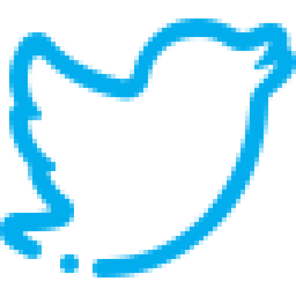Twitter icon